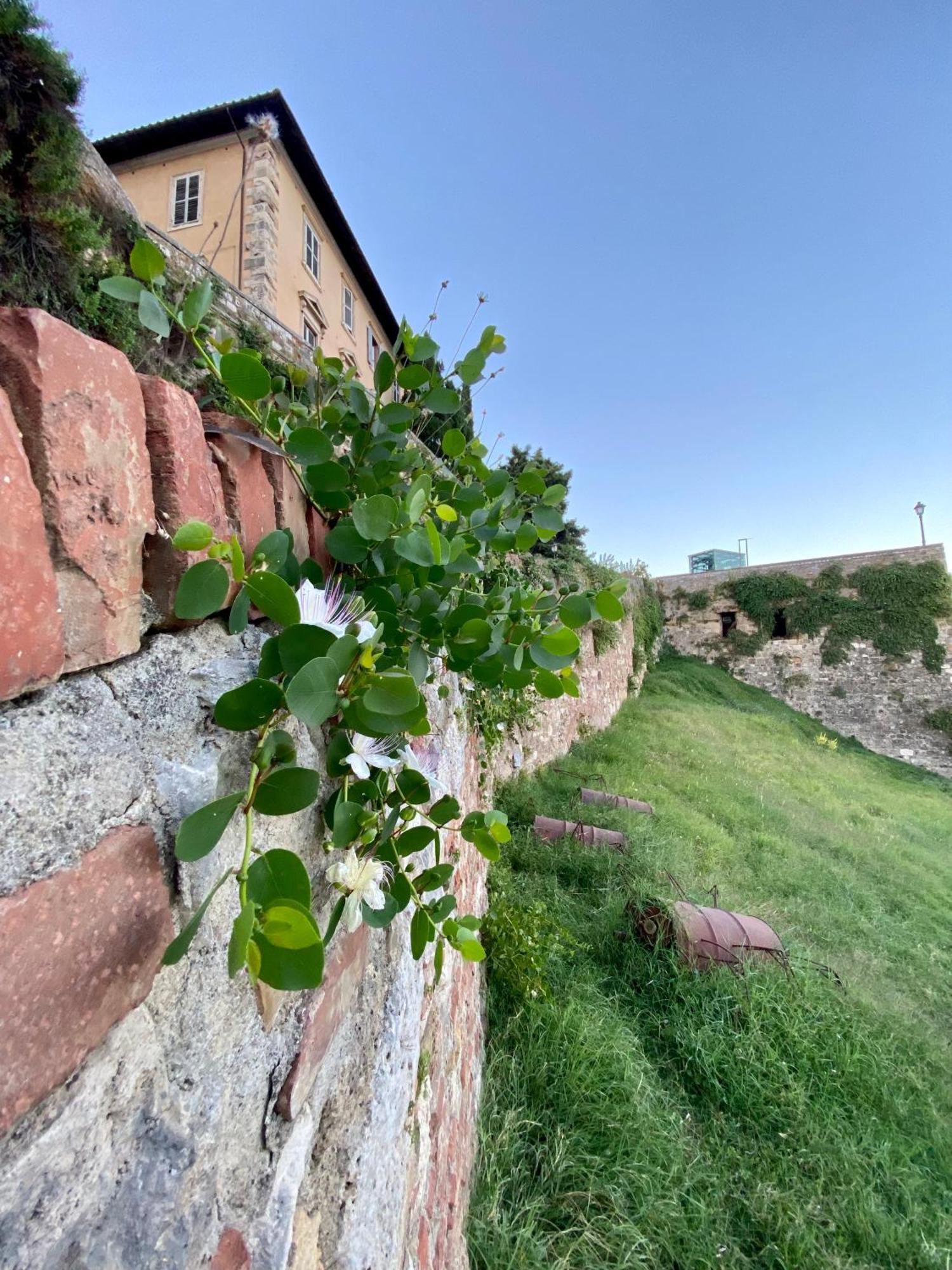 La Torre Di Canonica Colle Val D'Elsa Esterno foto